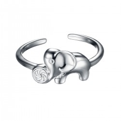 Energie-Schutz-Ring in 925 Silber